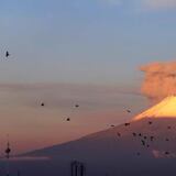 Reportan explosión en el volcán Popocatépetl en México