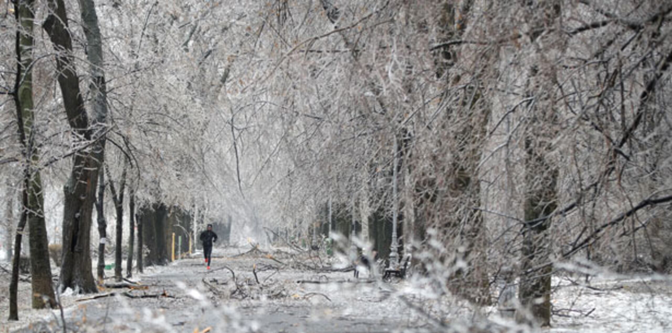 Se emitieron alertas por tormenta invernal a causa de las fuertes nevadas a lo largo y ancho de la región, incluidas algunas zonas de Arizona, Nuevo México y Utah. (Archivo)