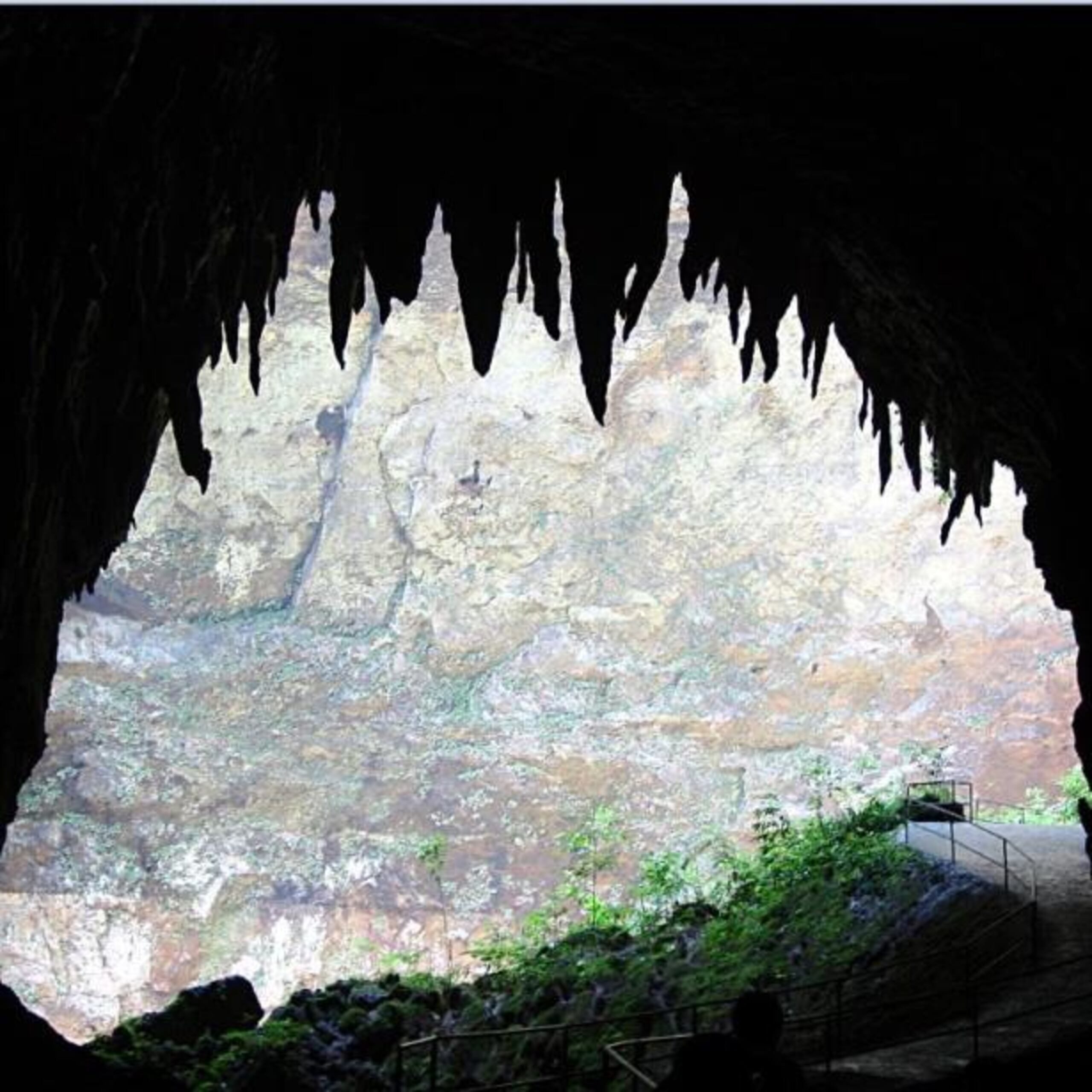 La información trascendió hoy cuando Primera Hora le preguntó a la Primera Ejecutiva si se reuniría y conversaría sobre las Cavernas hoy con el alcalde de Camuy. (Archivo)