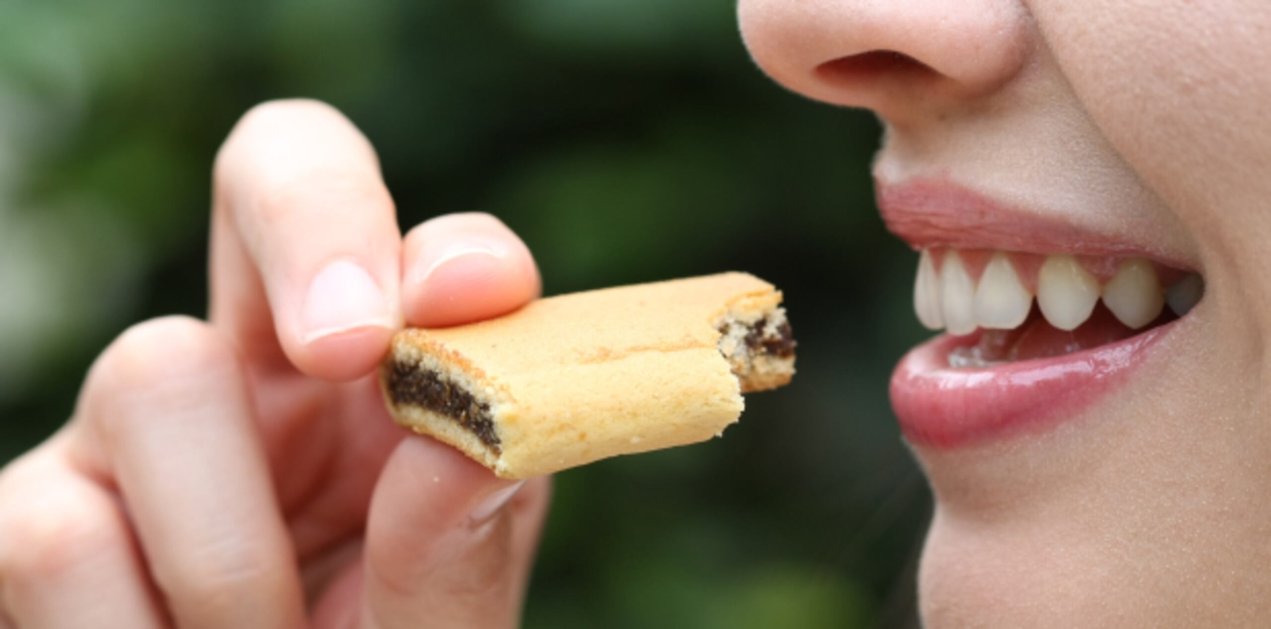 Los alimentos secos, como galletas que caen en alfombras, tienen menos probabilidad de contaminarse. (Archivo)