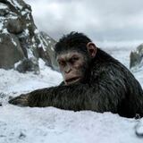 Por ahí viene una nueva película de "The Planet of the Apes"