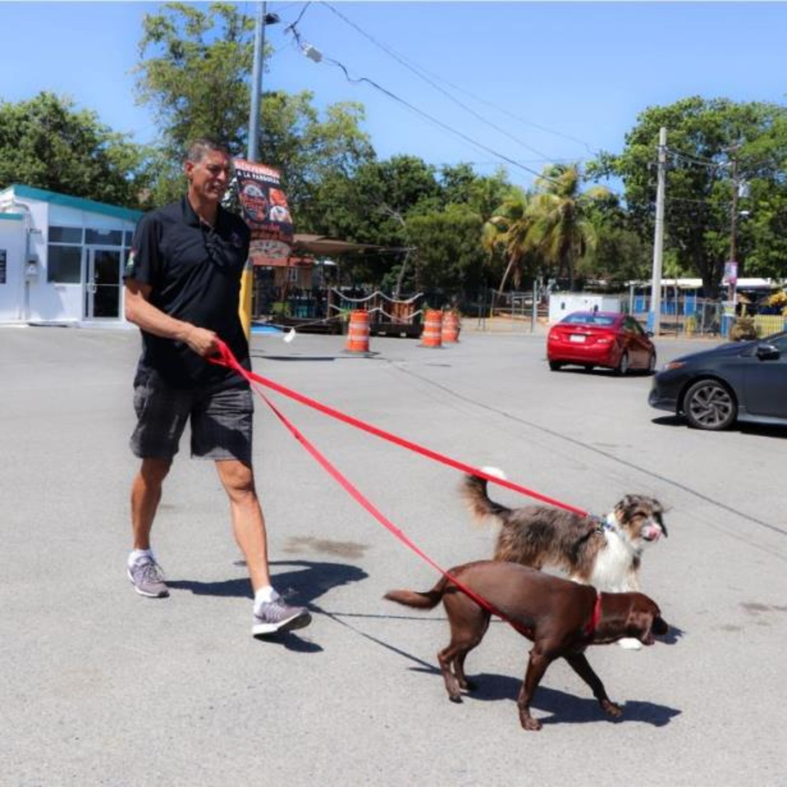 Para Ortiz, una mascota es más que un animal al que se le da techo, comida y agua. (joe.rubens@gfrmedia.com)