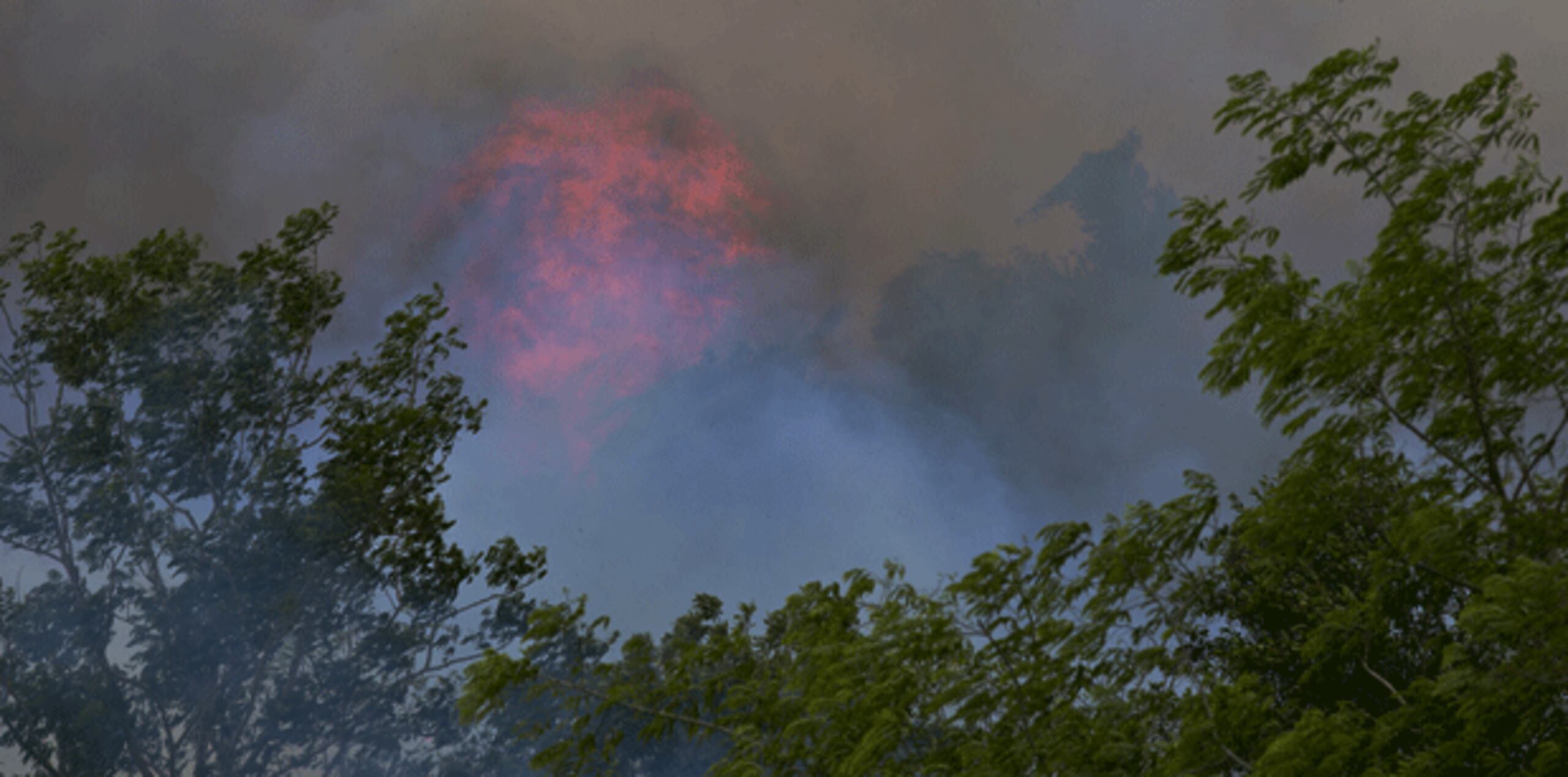 Una brigada de bomberos se encuentra en el lugar e intenta extinguir el fuego con herramientas manuales, bajo la supervisión del comandante Víctor Ortiz, jefe de la zona de Caguas, y con apoyo de personal de la Agencia Estatal para el Manejo de Emergencias de Gurabo y de Juncos. (Archivo)