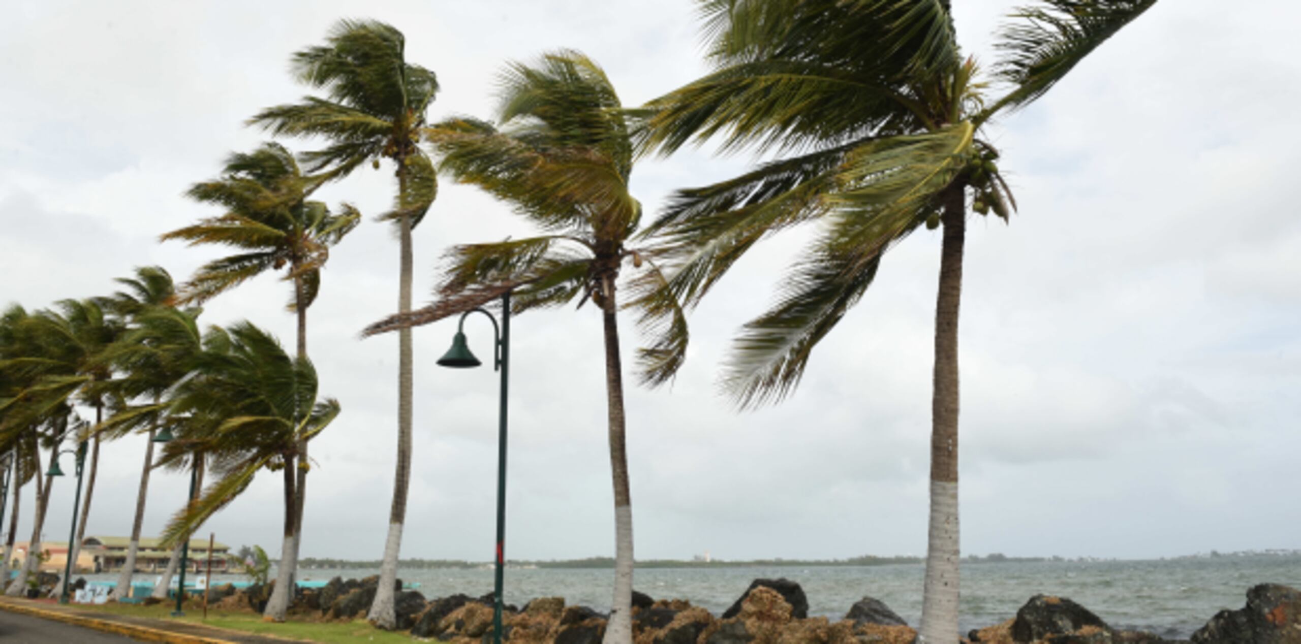 Los efectos de Irma ya son visibles a lo largo de la costa norte de Puerto Rico. (Especial para Primera Hora/Ingrid Torres)