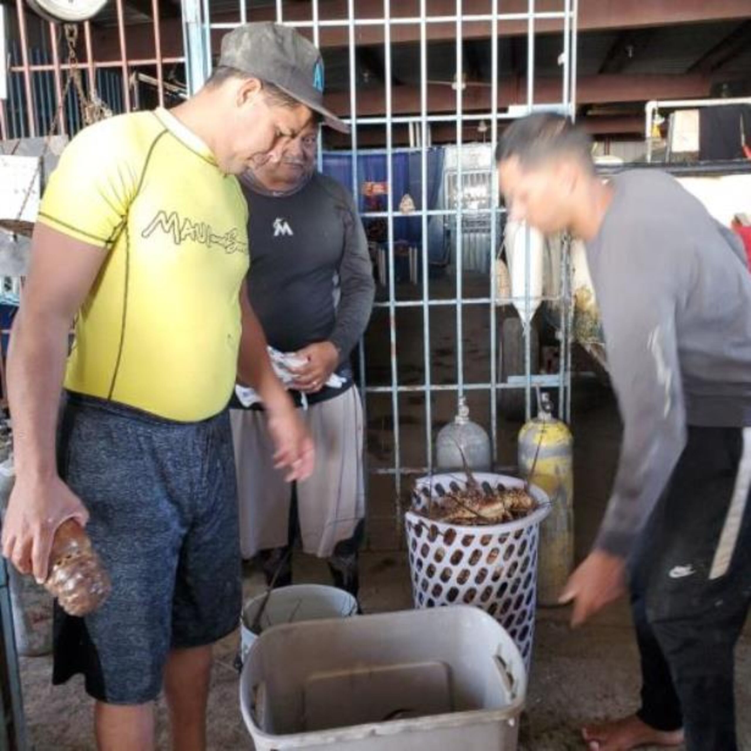 Los trabajadores del mar limpian lo poco que lograron pescar durante todo el día de trabajo. (nydia.bauza@gfrmedia.com)