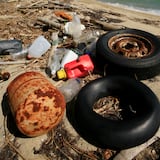 Recogen ocho toneladas de basura en cinco islas de Galápagos