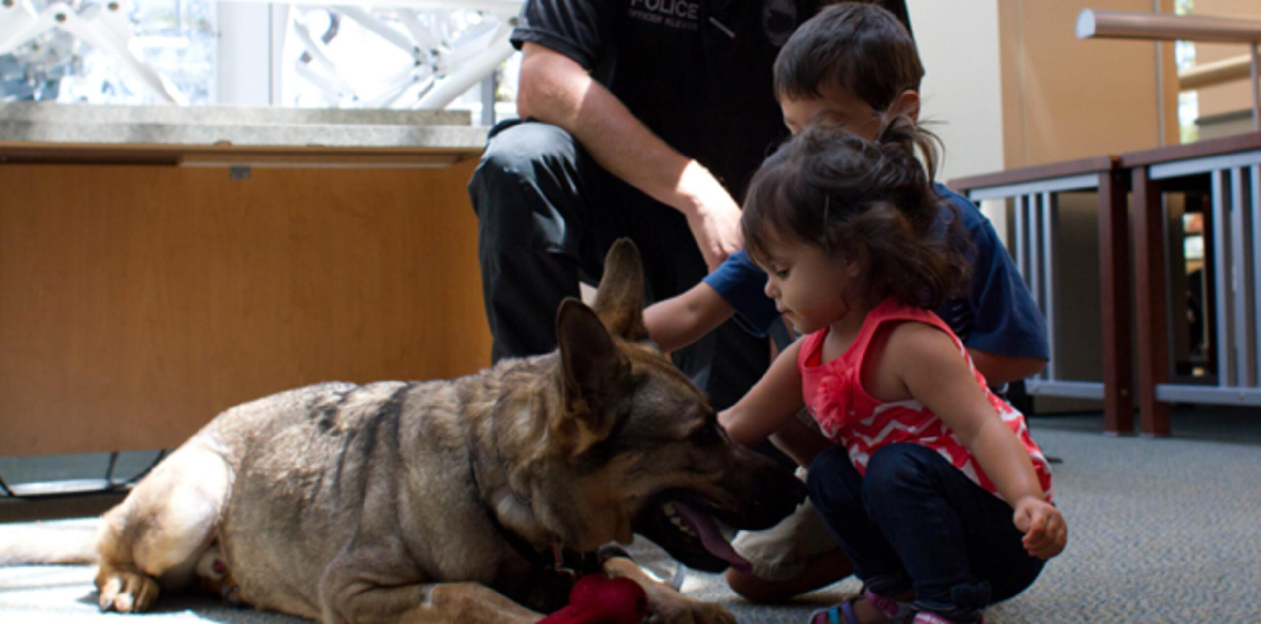 Uno de los invitados frecuentes a las librerías son los K-9, perros policía entrenados para ayudar en la búsqueda de sospechosos. (EFE)