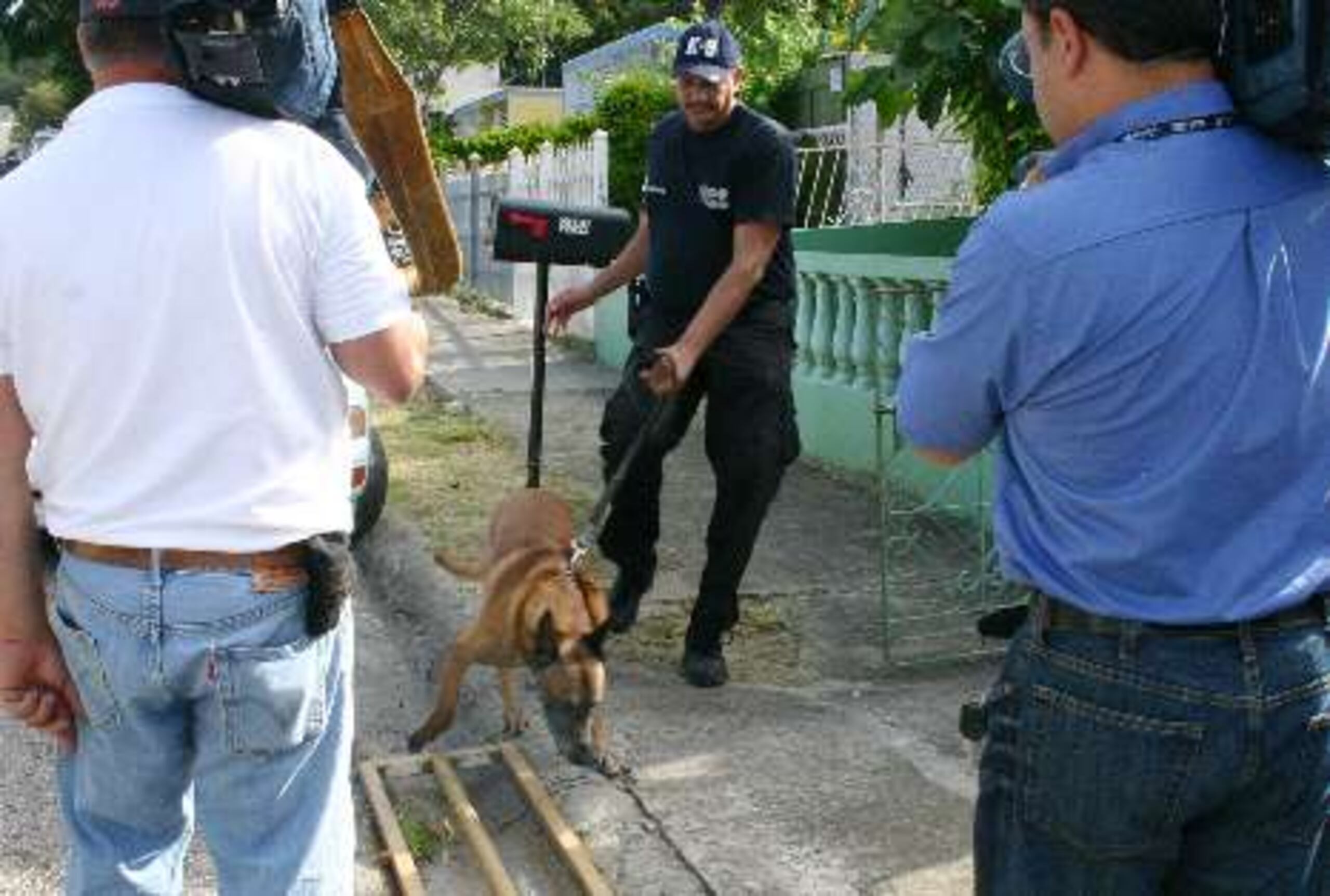  Un perro marca una de las áreas investigadas en el patio de la residencia de Amílcar Matías Torres. &nbsp;<font color="yellow">(Para Primera Hora / Edgar Vázquez Colón)</font>