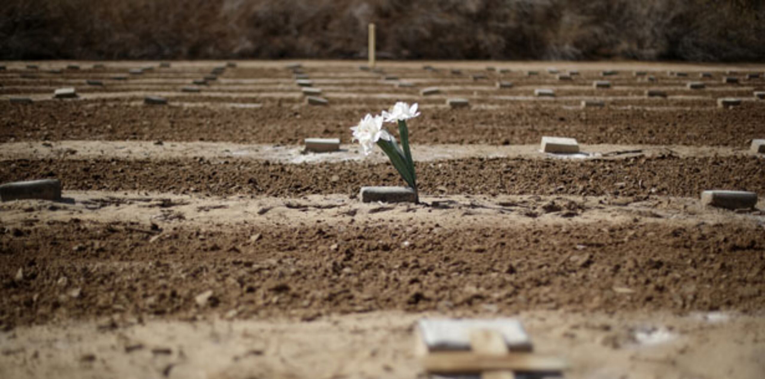 Los investigadores definieron eventos extremos de ola de calor como tres o más días de altas temperaturas récord. (Archivo)