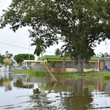 Caño Cabo Caribe hace estragos en Vega Baja