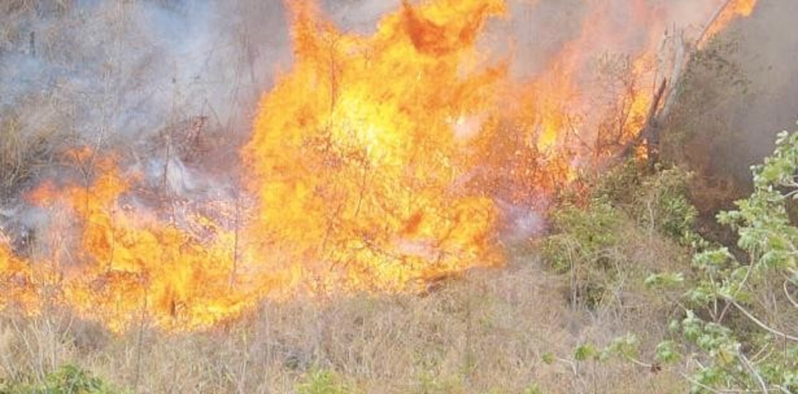 En la comunidad aragonesa, está activada la alerta naranja en las provincias de Huesca, Teruel y Zaragoza, con temperaturas que oscilarán entre los 39 (103 Fah) y 41 (106 Fah) grados. (Archivo)