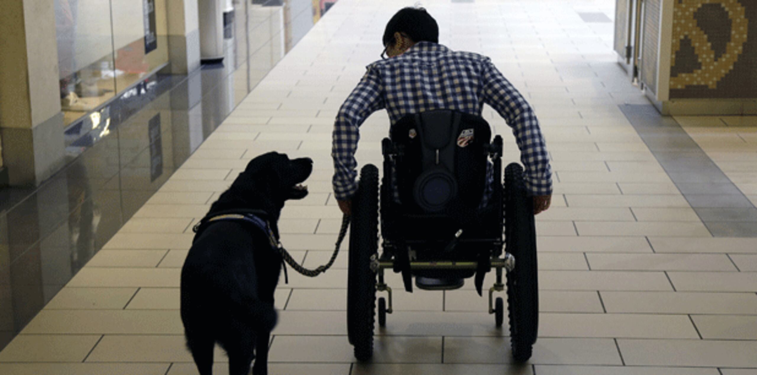 Wallis Brozman tiene un trastorno de movimiento llamado distonía y Caspin, mezcla golden-labrador retriever, es su guía. (AP)