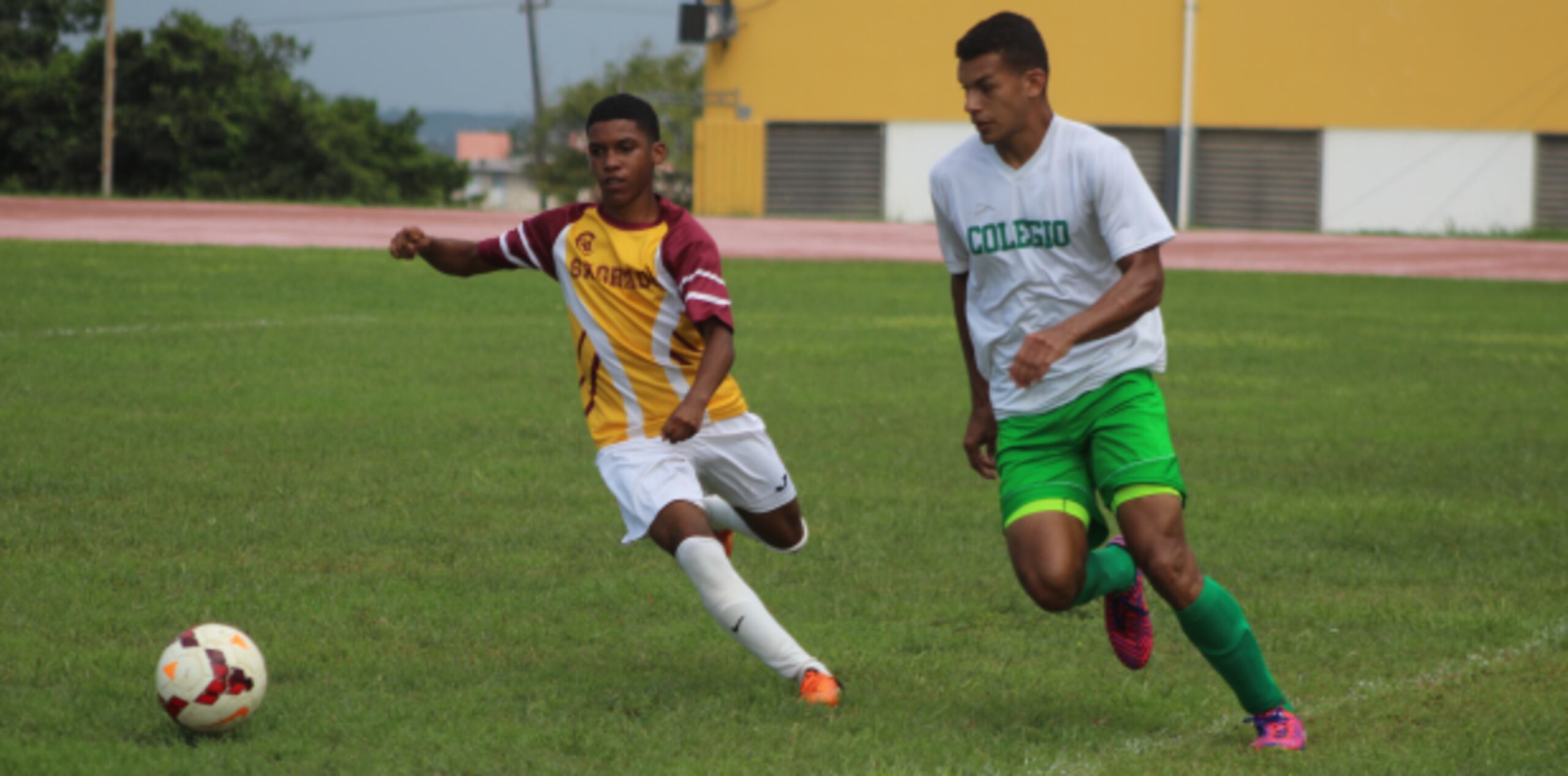 Los Tarzanes enfrentan ahora a los campeones Lobos de Arecibo en la serie final que podría definirse el sábado, 19 de noviembre. (Suministrada)