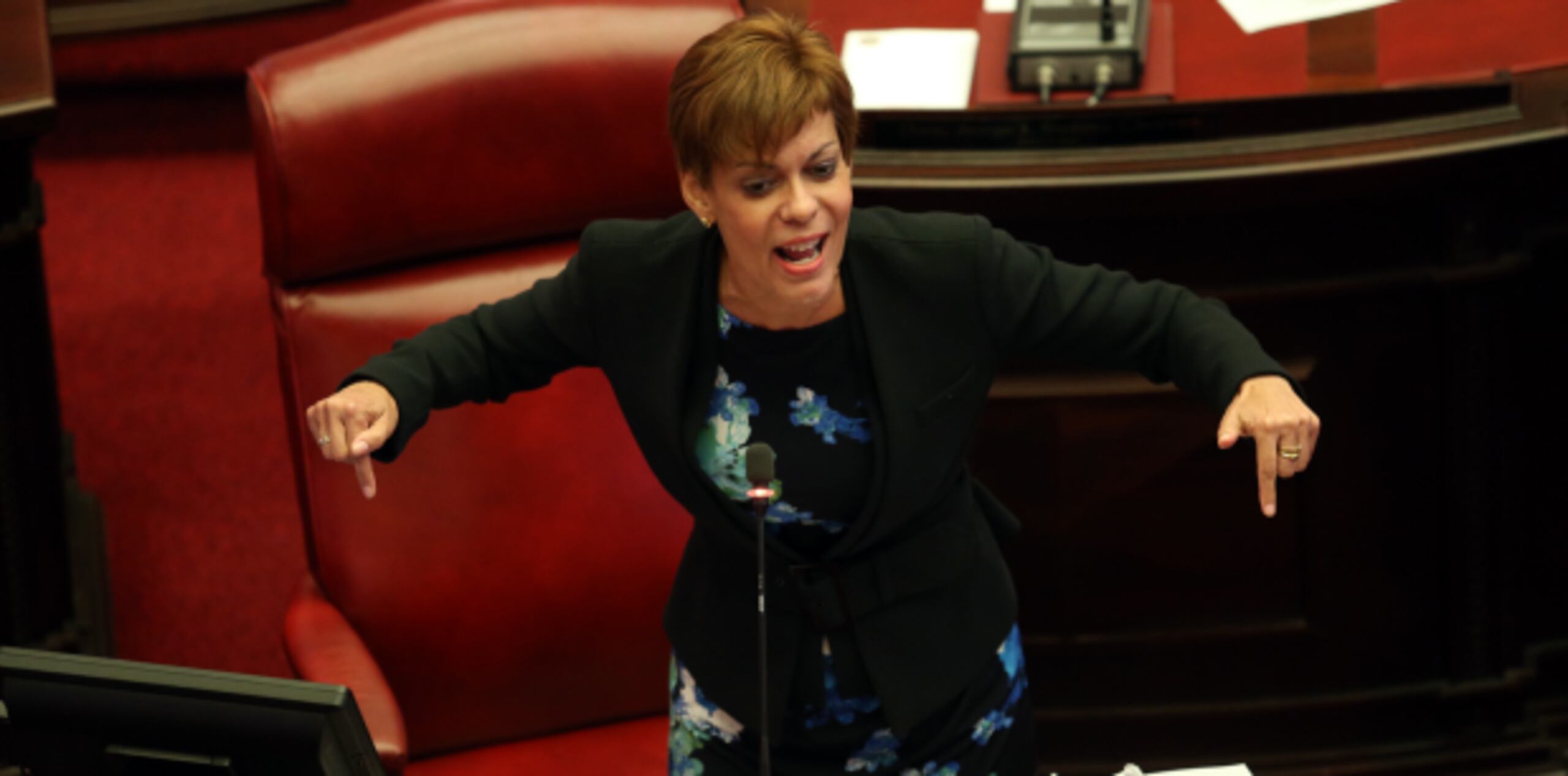 "No hay una sola forma de justificar esa privación impuesta a los niños y niñas de escuela pública”, puntualizó la senadora María de Lourdes Santiago.