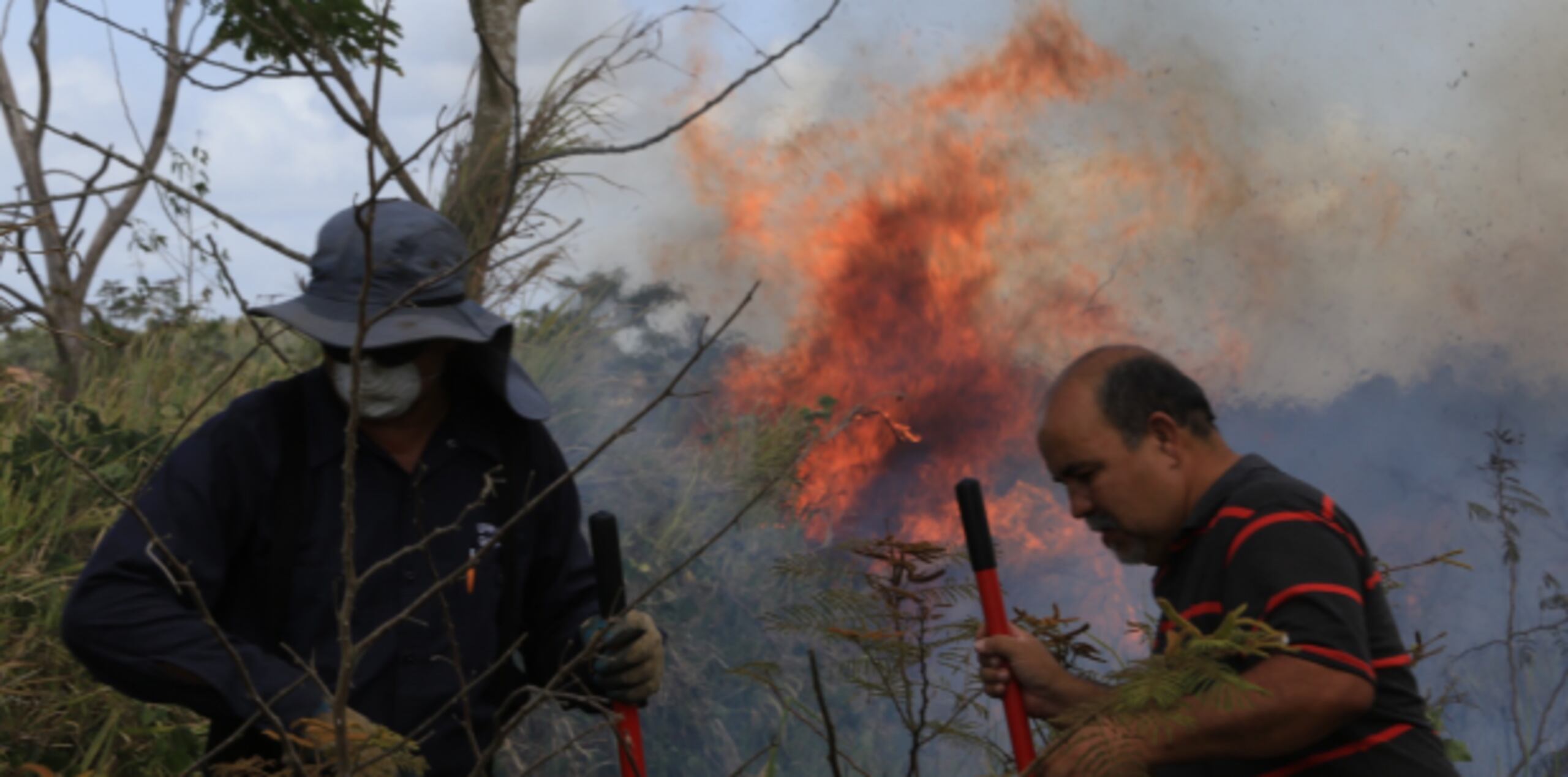 Díaz Rivera indicó que su personal continúa atento durante el día de hoy al desarrollo de las incidencias relacionadas al incendio forestal que ayer logró extenderse de Gurabo hasta varios puntos de Caguas. (Archivo)