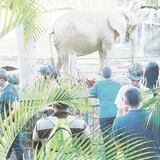 Piden cierre de zoológico en Mayagüez