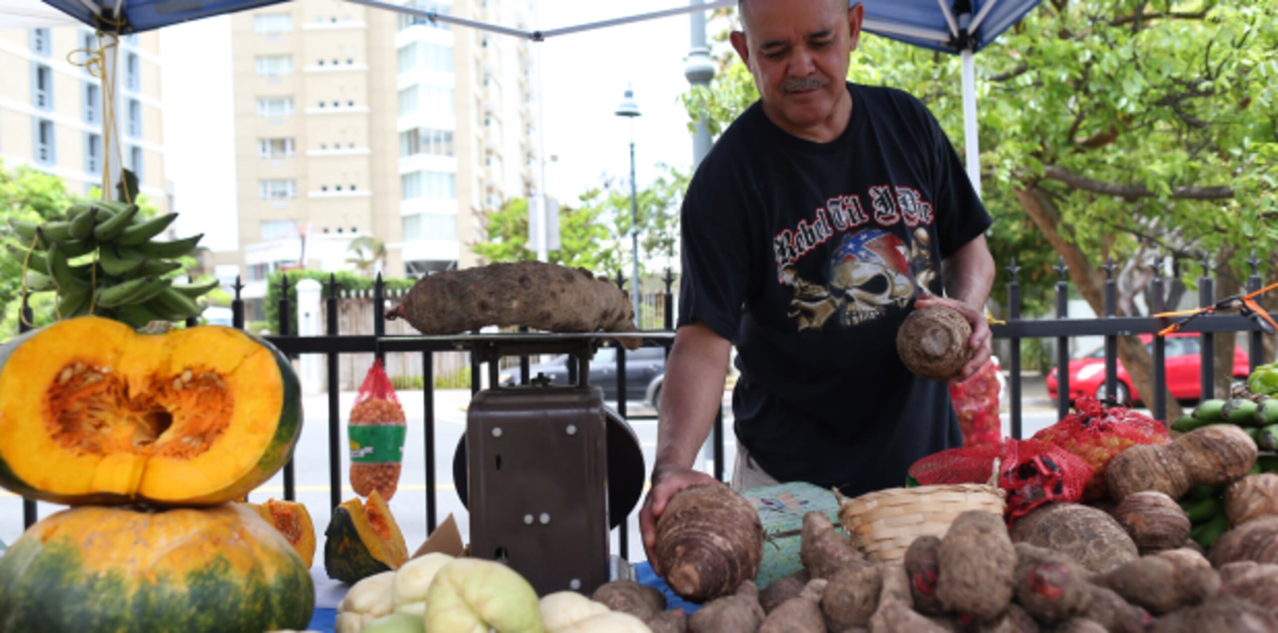 Muchos de los productos importados contienen químicos que no se utilizan en la agricultura local.(vanessa.serra@gfrmedia.com)