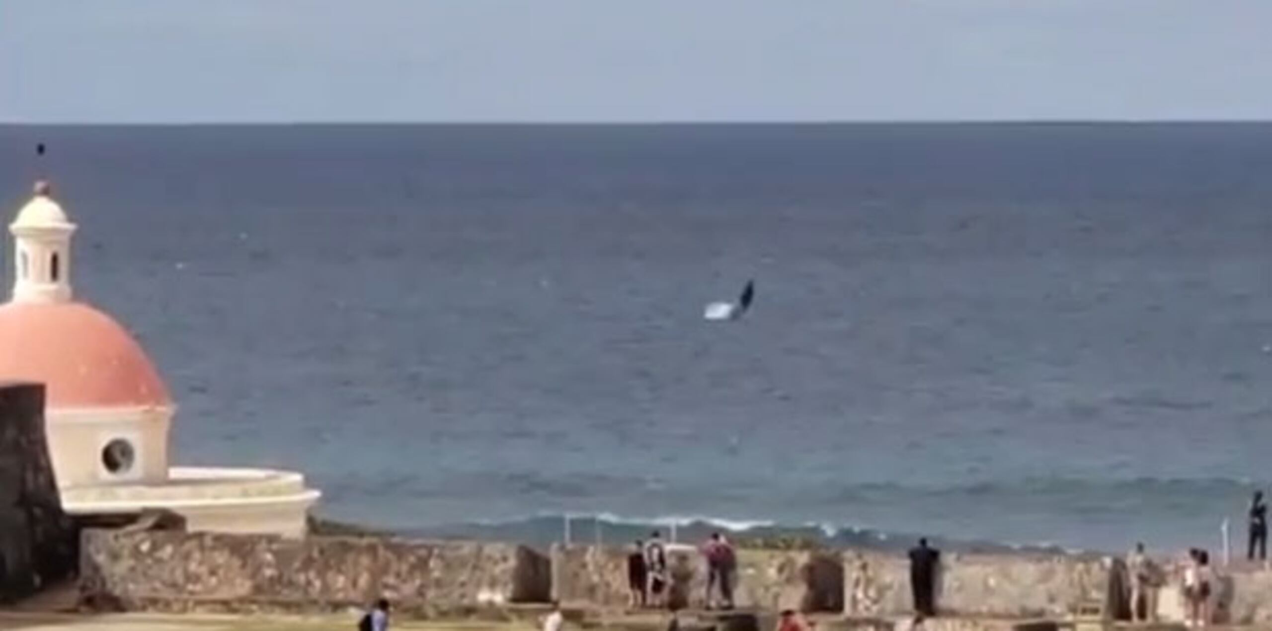 Este tipo de ballena se mueve por todas las aguas del mundo y son las más comunes en Puerto Rico para los meses entre noviembre y abril, pero son más comunes en febrero. (Captura)