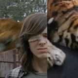 Así se filmó el ataque del tigre en "The Walking Dead"