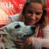 Carmen Yulín lamenta muerte de su perro Benicio del Toro