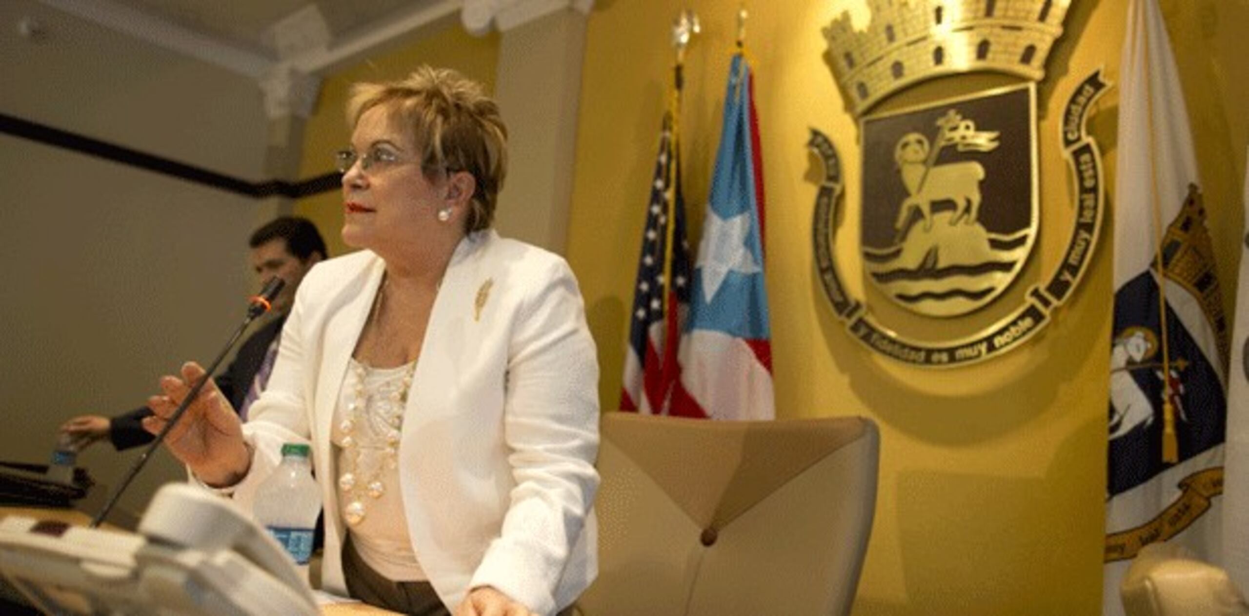 “Es una resolución extensa que estamos presentando los legisladores del municipales de San Juan y se hace una exhortación a todos los legisladores de San Juan y de Puerto Rico a que se reflexione sobre esto”, precisó la presidenta del cuerpo y exsecretaria de la Familia, Yolanda Zayas. (Archivo)