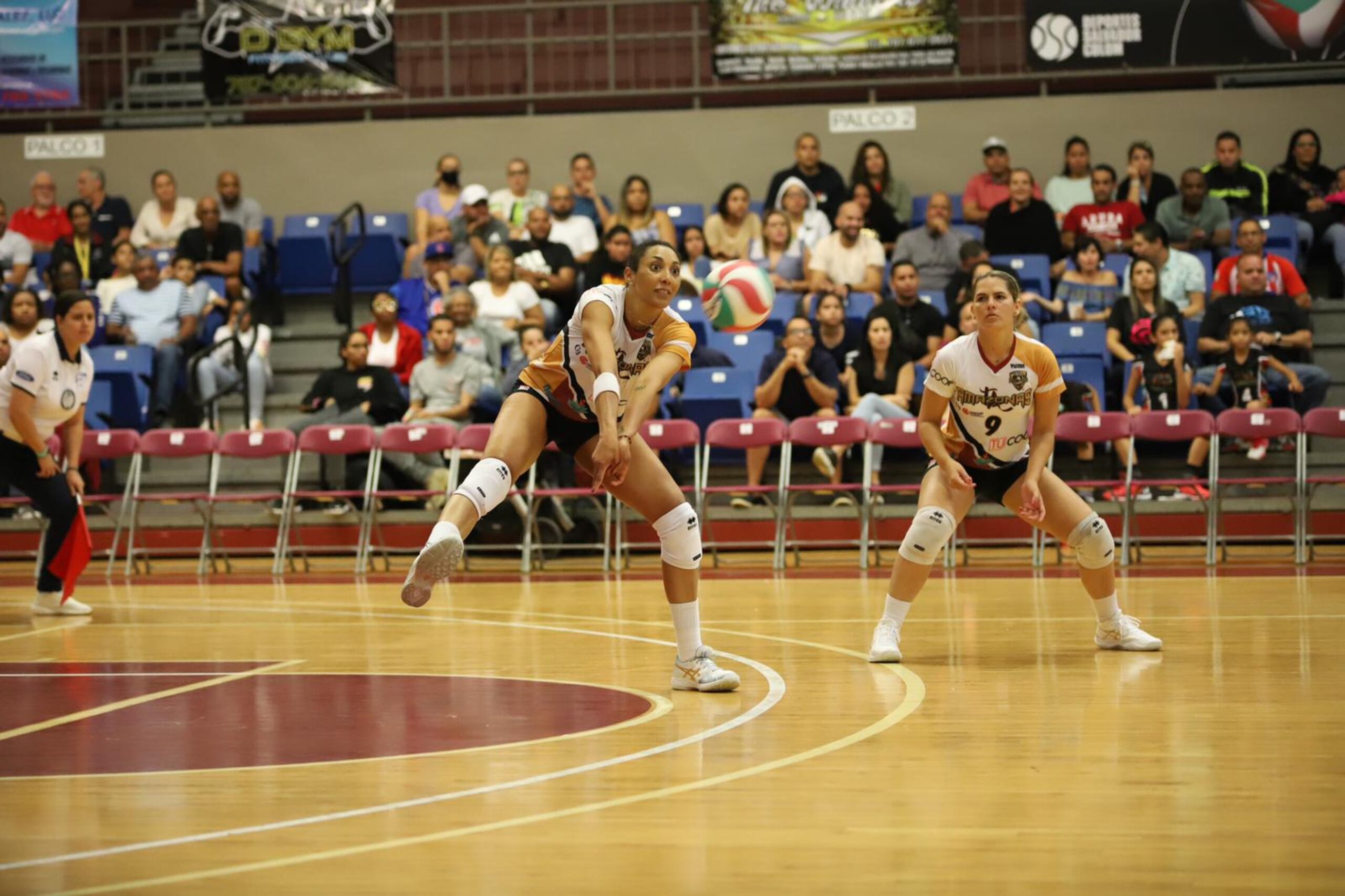 Aury Cruz hizo este domingo los 15 puntos que necesitaba para llegar a los 2,000 puntos en el Voleibol Superior Femenino.