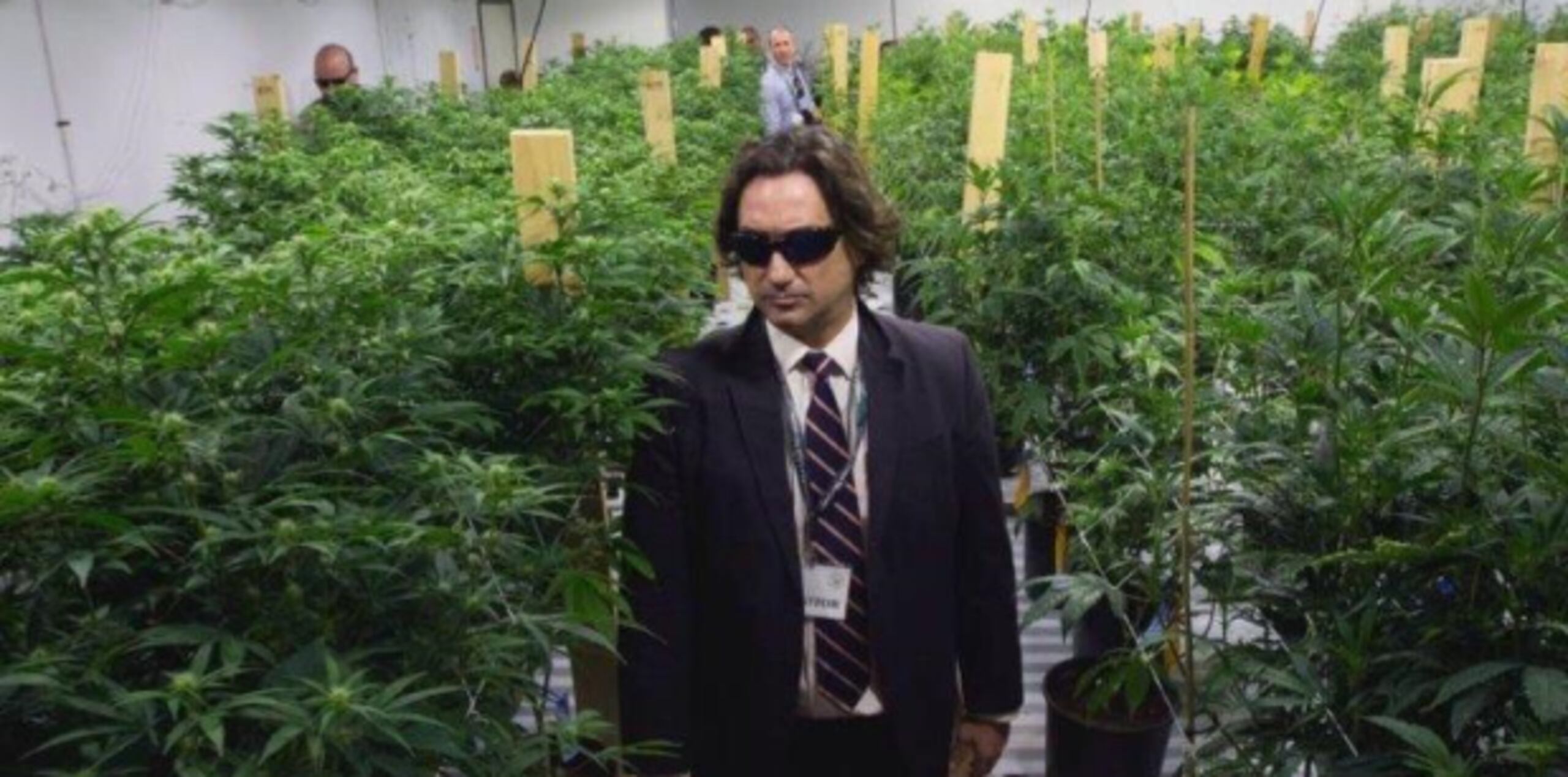 Licenciado del bufete Puerto Rico Cannabis Law Group, Efraín González Carrión. (Suministrada)