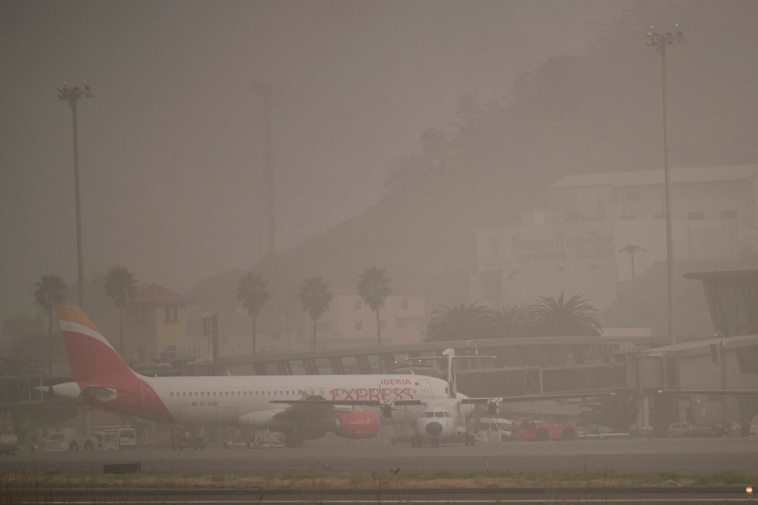 Aviones de pasajeros estacionados en la pista del aeropuerto de Santa Cruz de Tenerife, en España, el lunes 24 de febrero de 2020.