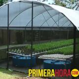 Agricultura hidropónica en el residencial