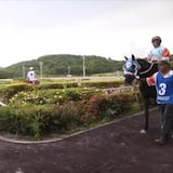 Opinan sobre escándalo en hipódromo Camarero