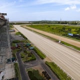 Ahora podrás ver las carreras en vivo del Hipódromo Camarero en Primera Hora