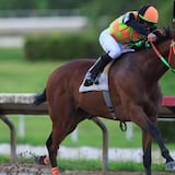 Celebran la Copa Clásico Primera Hora en el hipódromo Camarero