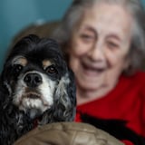 ¡Estos perritos son una verdadera chulería!