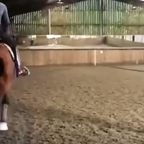 20 latigazos en un minuto: campeona olímpica maltrata caballo