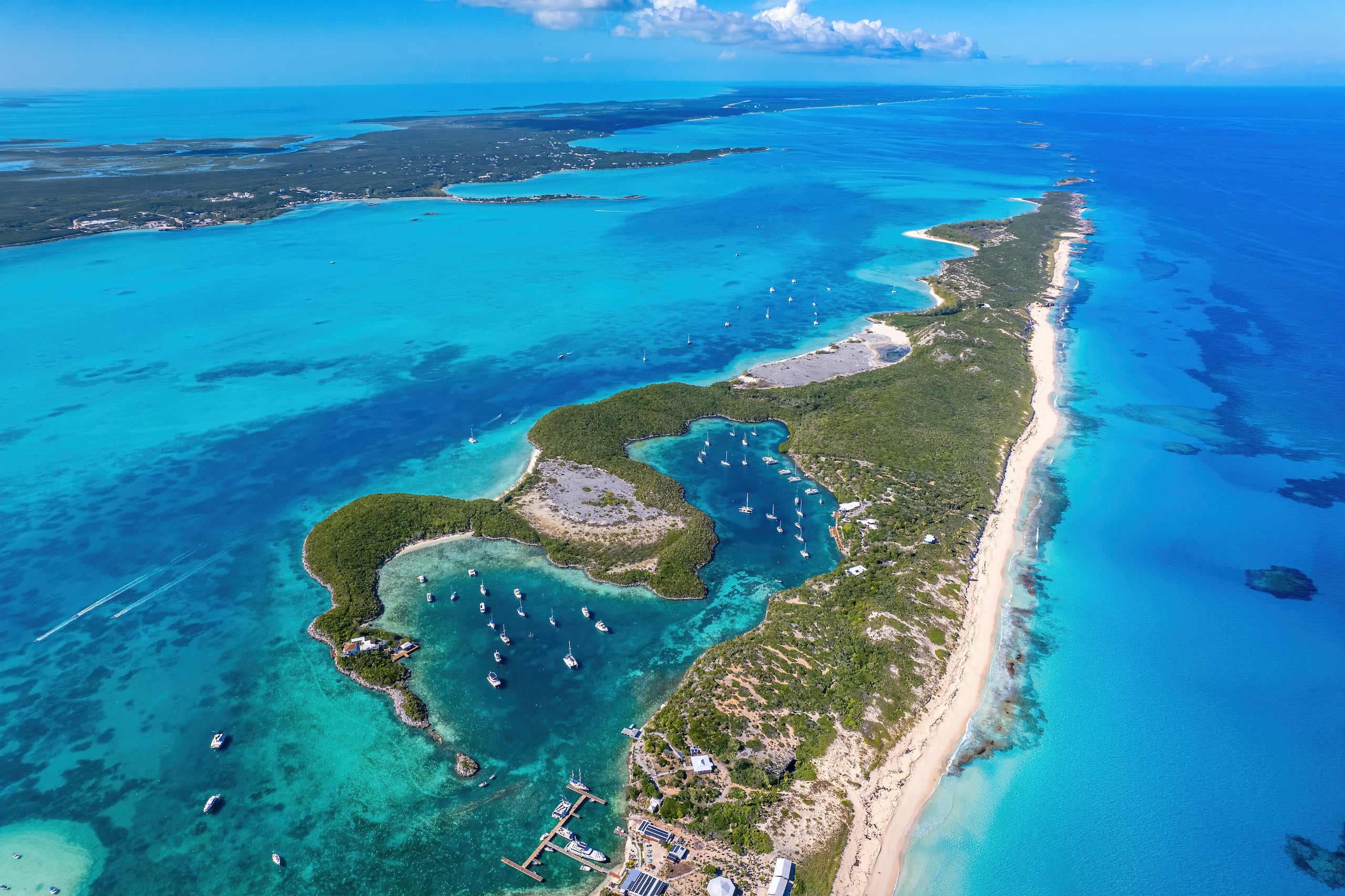 En las Bahamas hay una gran variedad de especies de tiburón, la mayoría de las cuales no le prestan atención al ser humano, salvo por el tiburón toro y el tiburón tigre.