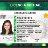 Licencias de conducir virtuales no pueden usarse en los aeropuertos