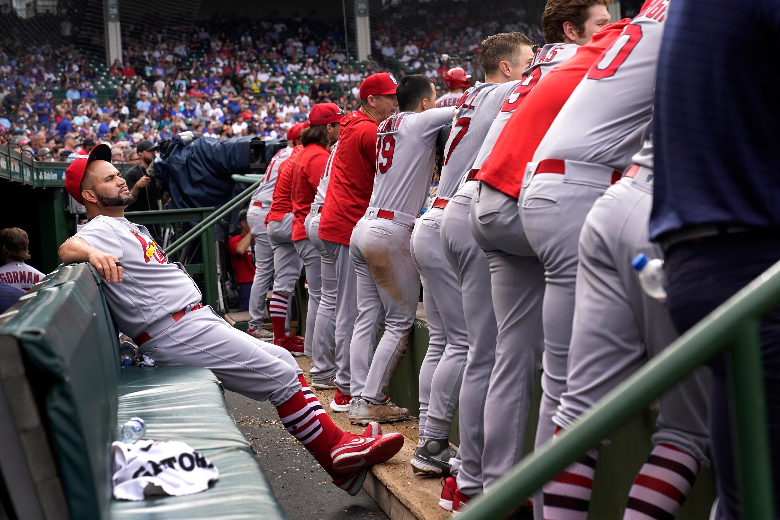 El dominicano Albert Pujols, de los Cardinals de San Luis, observa desde el banquillo, detrás de sus compañeros, durante el juego del jueves 25 de agosto de 2022, ante los Cubs de Chicago.