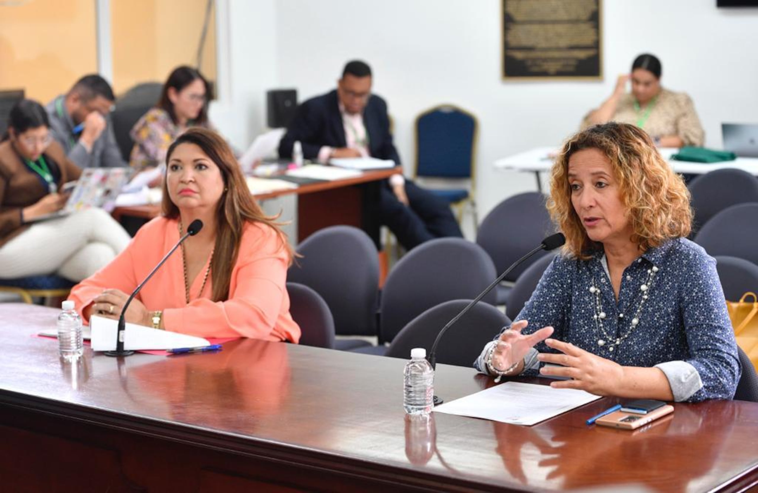 La presidenta del COPUR, Sara Rosario, dijo que la situación planteada en el P. de la C. 764 “no es significativa numéricamente en el deporte, pues la población transgénero a nivel mundial no es muy grande”.