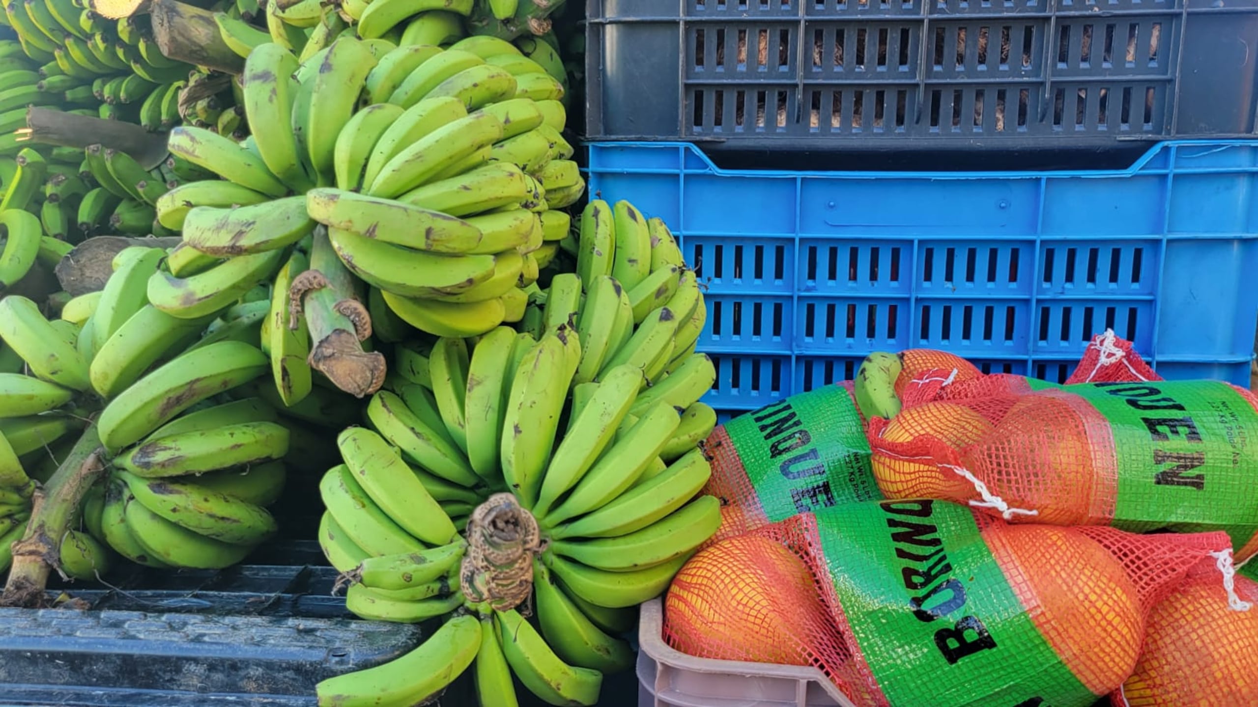 El Departamento de Agricultura imparte unas guías de precios.