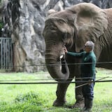 Cierra el zoológico de Mayagüez