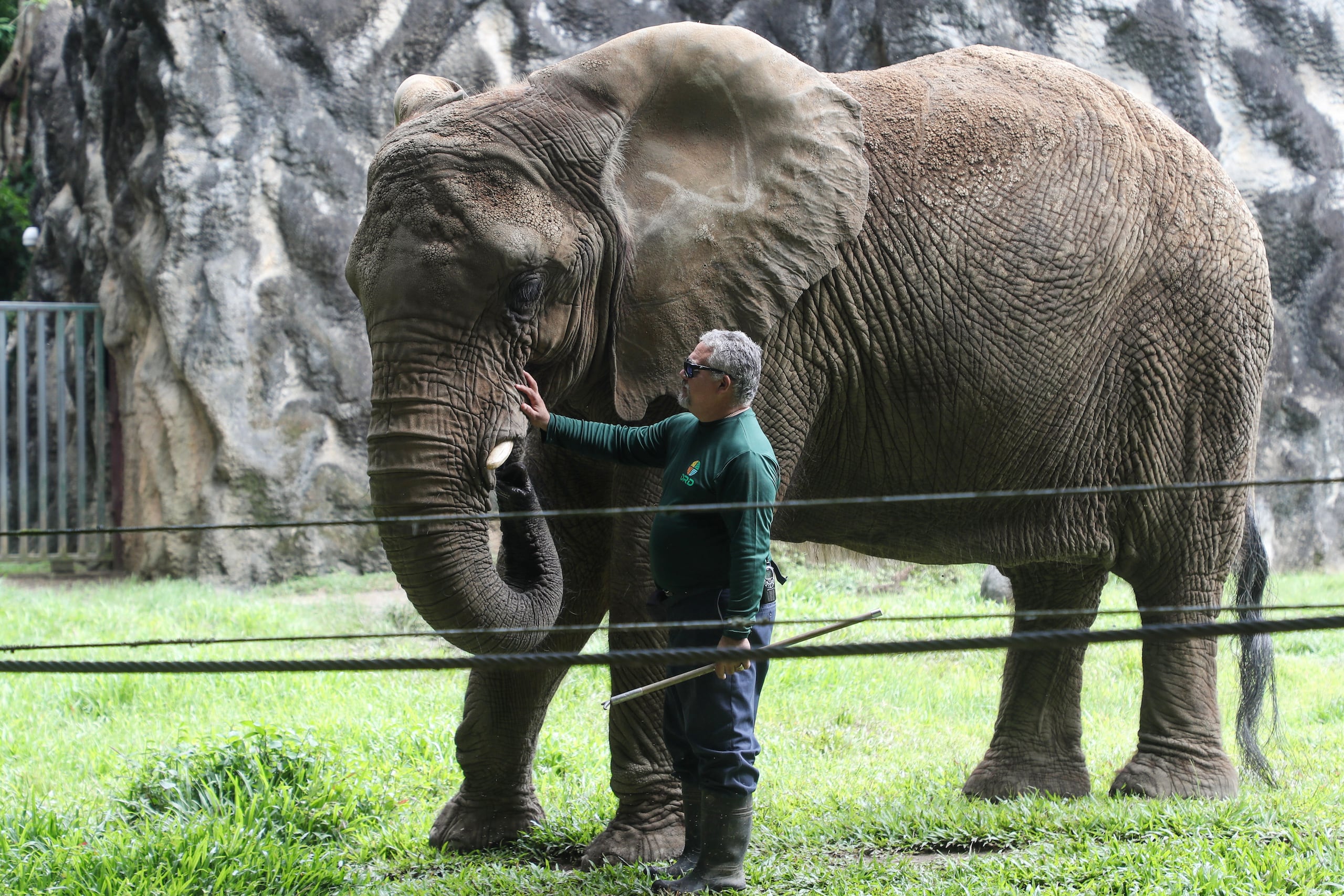 Zoológico de Mayagüez.