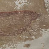La pintura rupestre más antigua del mundo