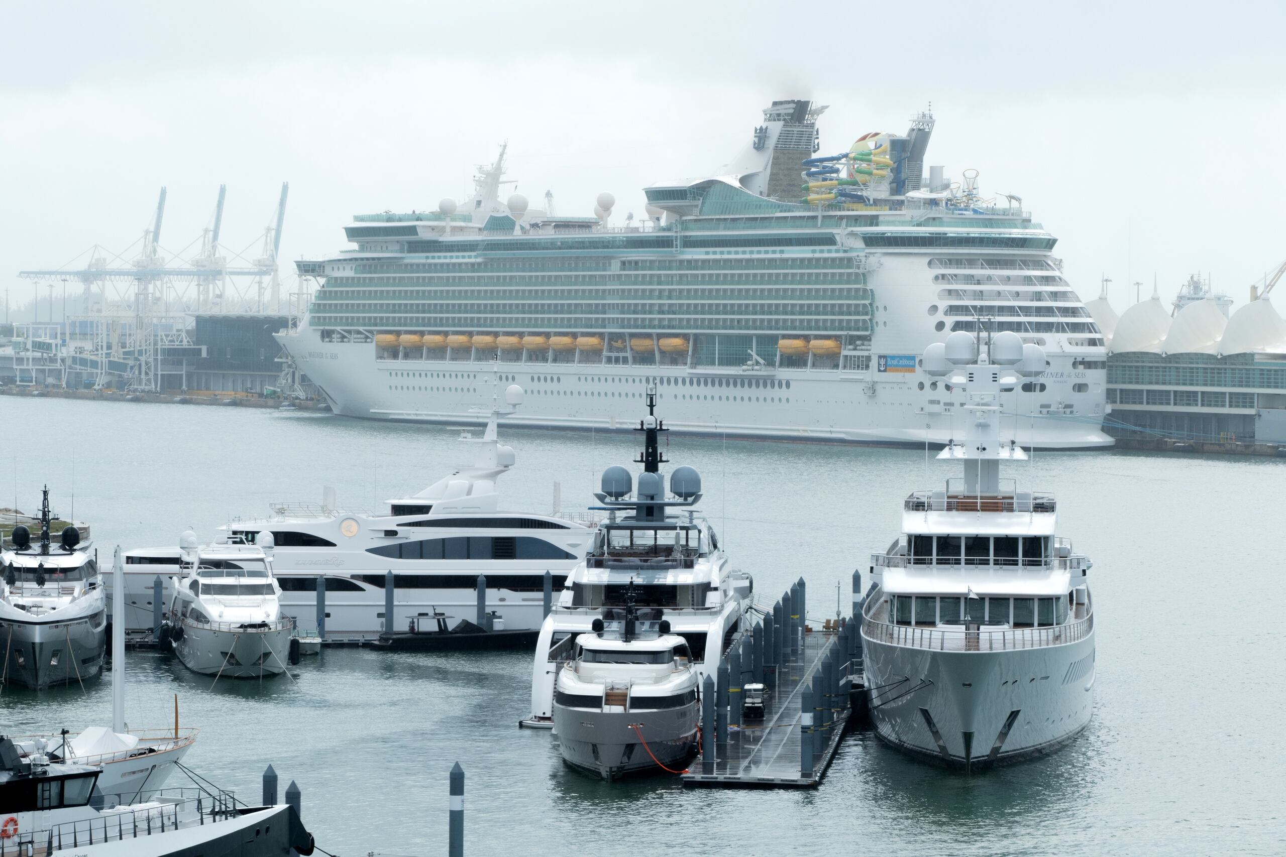 Fotografía de archivo de un crucero de la compañía Royal Caribbean atracado en la Bahía de Miami (EE.UU.). EFE/Giorgio Viera
