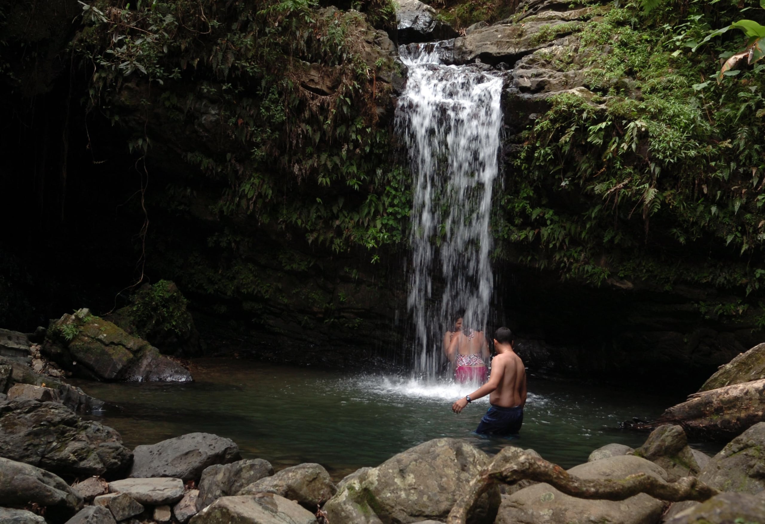 A pesar de que el gobierno ha levantado las restricciones de capacidad por el COVID-19, El Yunque anunció que mantendrán las visitas mediante reservación, esto debido al alto volumen de visitantes que suelen recibir para el mes de julio.