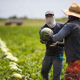 Radican medida para atender la seguridad alimentaria