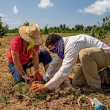 Para la Naturaleza celebra la siembra de miles de árboles en 2021