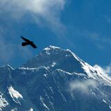 Estadounidense y suizo mueren escalando el Everest