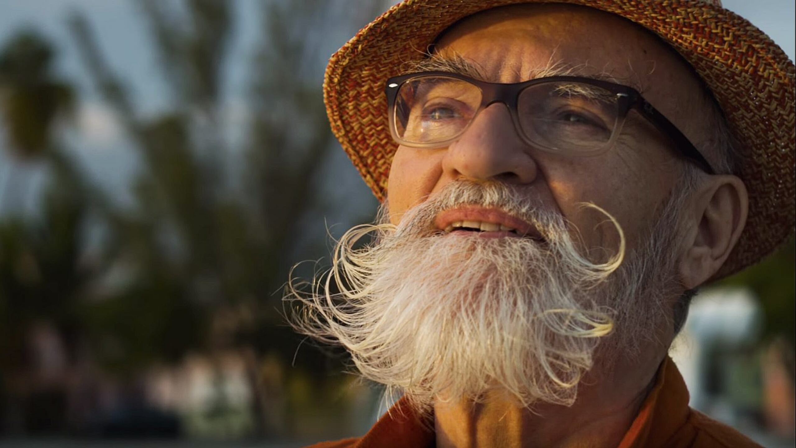 "El accidente feliz" se centra en la vida del aclamado artista puertorriqueño Antonio Martorell, quien también sirve como el narrador de la cinta.