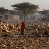 Estados Unidos pide la ayuda de todos los países para impedir una hambruna en Somalia 