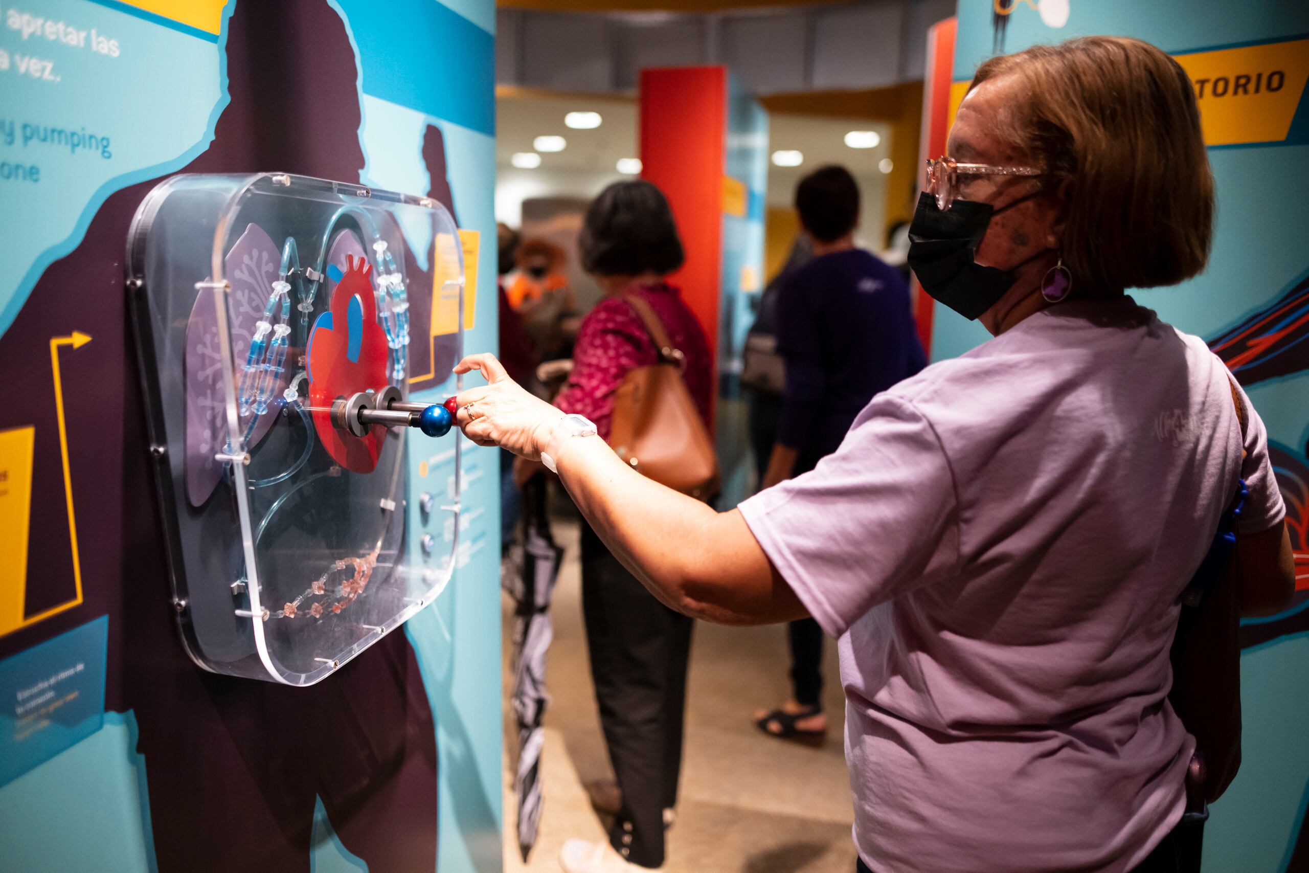 Una de las estaciones muestra el sistema respiratorio del cuerpo humano, en el cual los asistentes tiran de una palanca para inflar dos pulmones. 